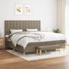 3137505 vidaXL Divan Bed with Mattress Taupe 200x200 Cm Fabric