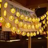 Verlichting – Slingers en feestverlichting