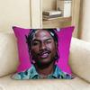SSteve LLacy Pillow Case Living Room Sofa Cushion Cover Suitable For Home Bedroom Room Decoration
