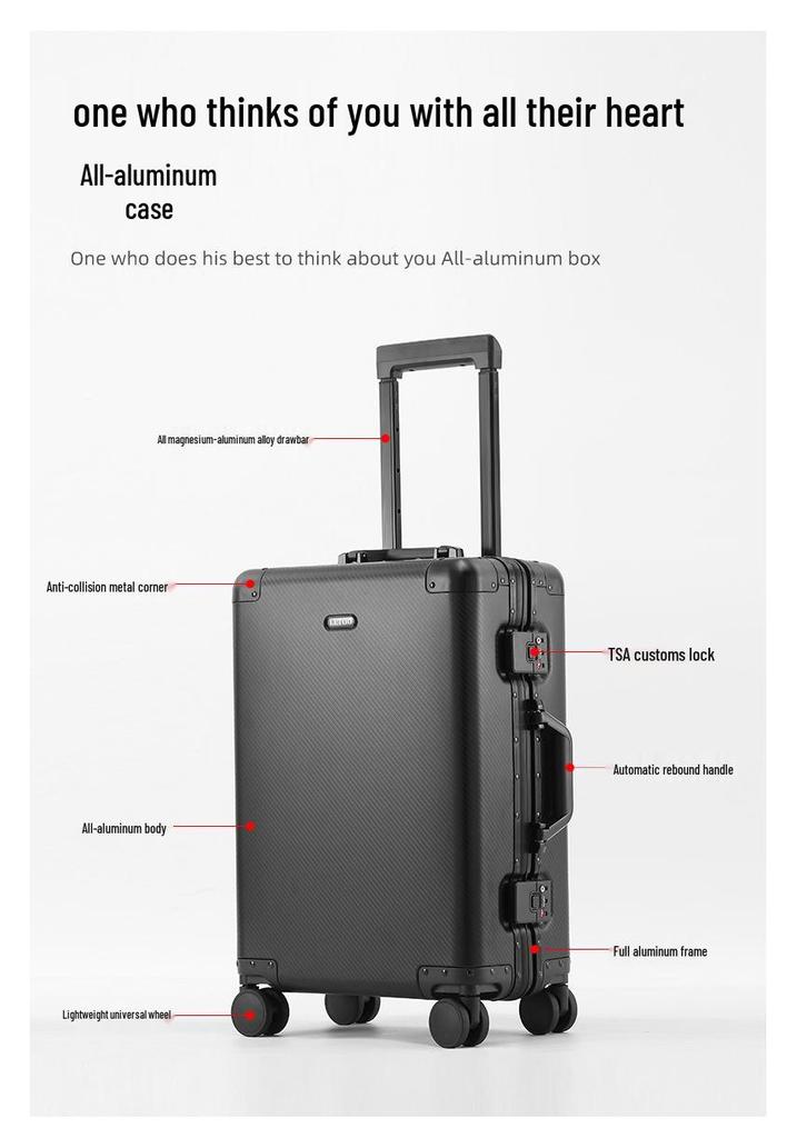 Alloy 20-Inch Carry-On and 26-Inch Luggage Set, Drop-Resistant Trolley Case with Combo Lock