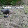 Crow Decoration Props Rugged And Durable Simple And Delicate Simulation Bait Home Decoration Crafts Simulation Crow Ornaments