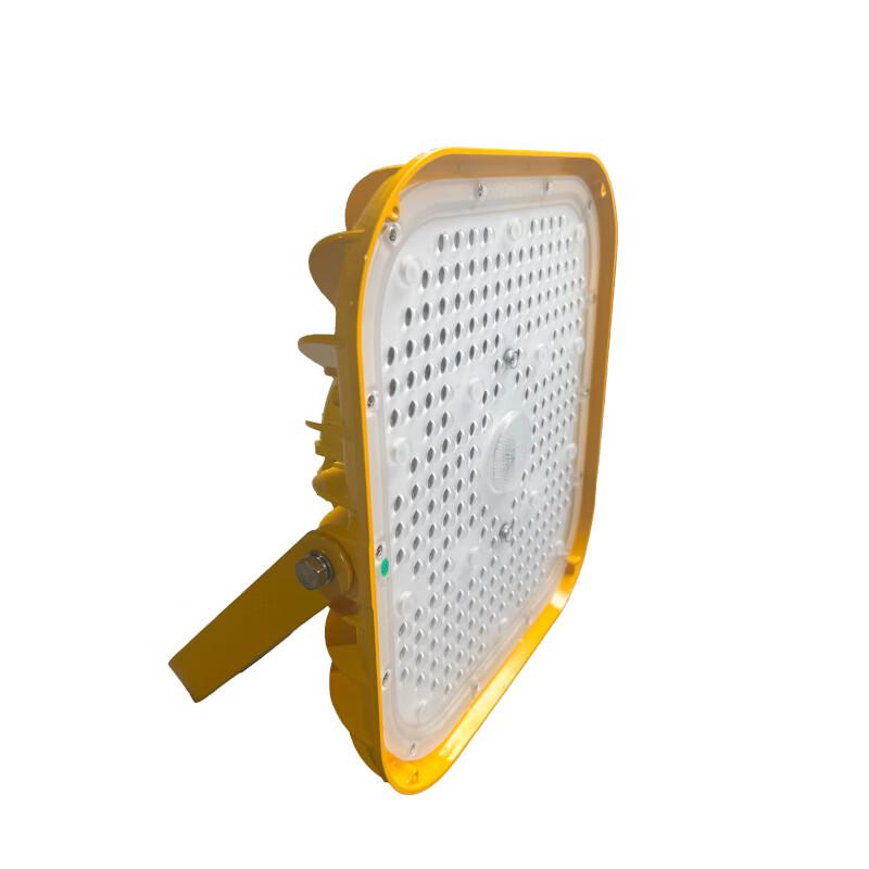 SEVA Explosion-Proof LED Flood Work Light