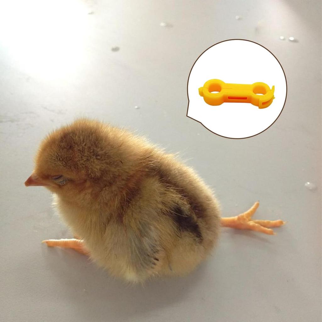 12Psc Baby Chick Splay Leg Hobble Brace, Baby Chick Leg Hobbles, Poultry Leg Bands, Chicken Hobble Braces for Newborn Spraddle Leg of Chick Quails