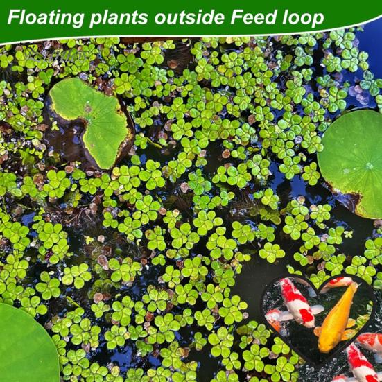 5Pcs Aquarium Floating Plant Ring Heart Shaped Fish Feeding Rings Betta Fish Tank Food Ring Plant Fence Corral for Keeping Floating Plants In Place