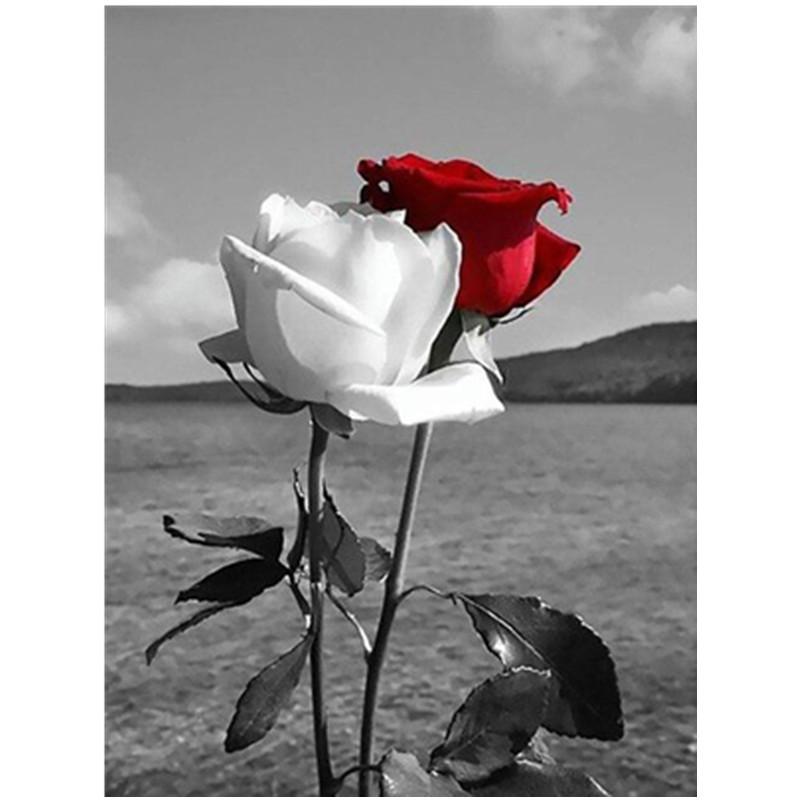 Ζωγραφική με διαμάντια Τοπίο Ζώα Εικόνες κινουμένων σχεδίων 5D DIY Πλήρης Διαμαντένια Κέντημα Κιτ βελονιών σταυροβελονιά Διακόσμηση σπιτιού