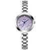 Medieval Alloy Watch Women'S Simple Niche Fritillary Quartz Watch Middle School Student High-End Chain Watch