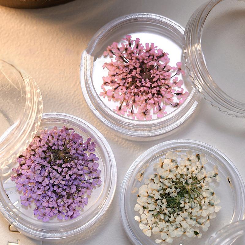 5 st/ask 3D torkade blommor nagelkonstdekorationer torkade blommor klistermärken gör-det-själv manikyr berlocker design för nageltillbehör