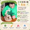 Wooden Brain Training Puzzle (6-tier) - Brain Activation Toy, Japan Good Toy Award Winner, Educational Toy, String Removal, Brain Exercise, Ranking, A