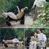 Campervan, Outdoor Foldable Cart, Travel Stall, Small Trailer, Camper, Trolley, Picnic, Folding Table New