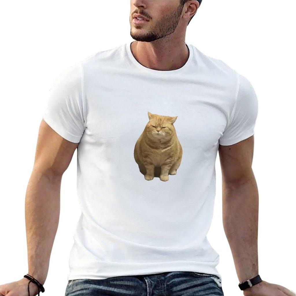Chonky Cat Frowning T-Shirt Soft Basic Cotton Short Sleeve Tee