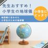Raymay Fujii Globe, Teacher Recommended for Elementary School Students, 20cm OYV11