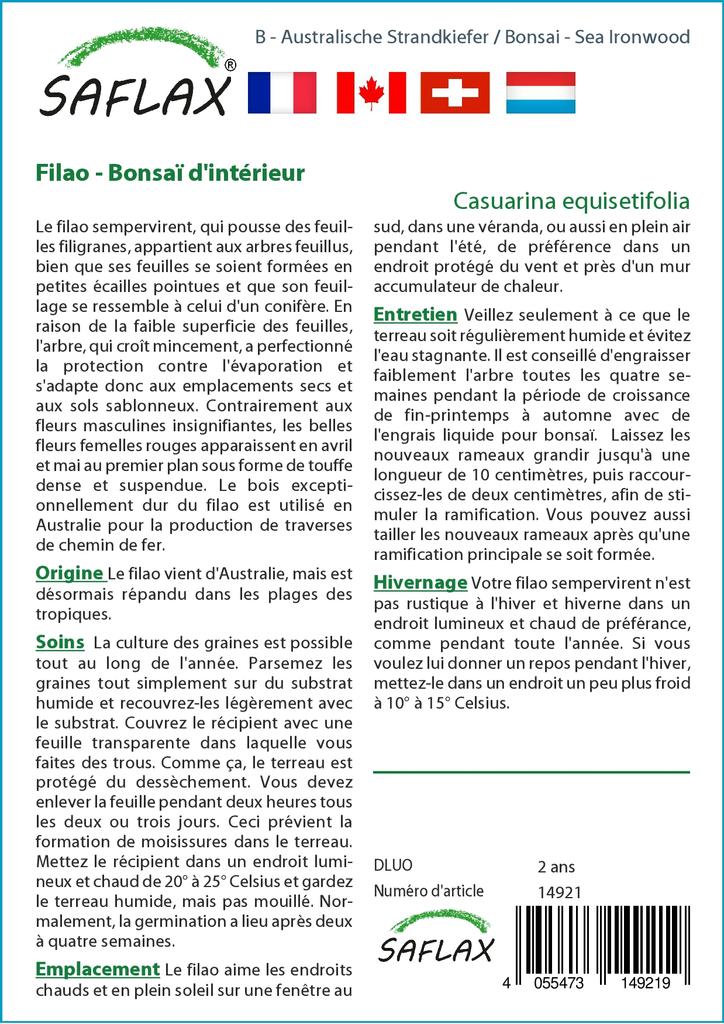 SAFLAX Garden In the Bag - Bonsai - Sea Ironwood - 200 Seeds - With Substrate In a Fitting Stand Up Bag - Casuarina Equisetifolia