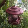 Waterproof Hanging Wild Bird Feeder Large Capacity Plastic Feeding Station with Roof Durable Bird Food Container Backyard Porch