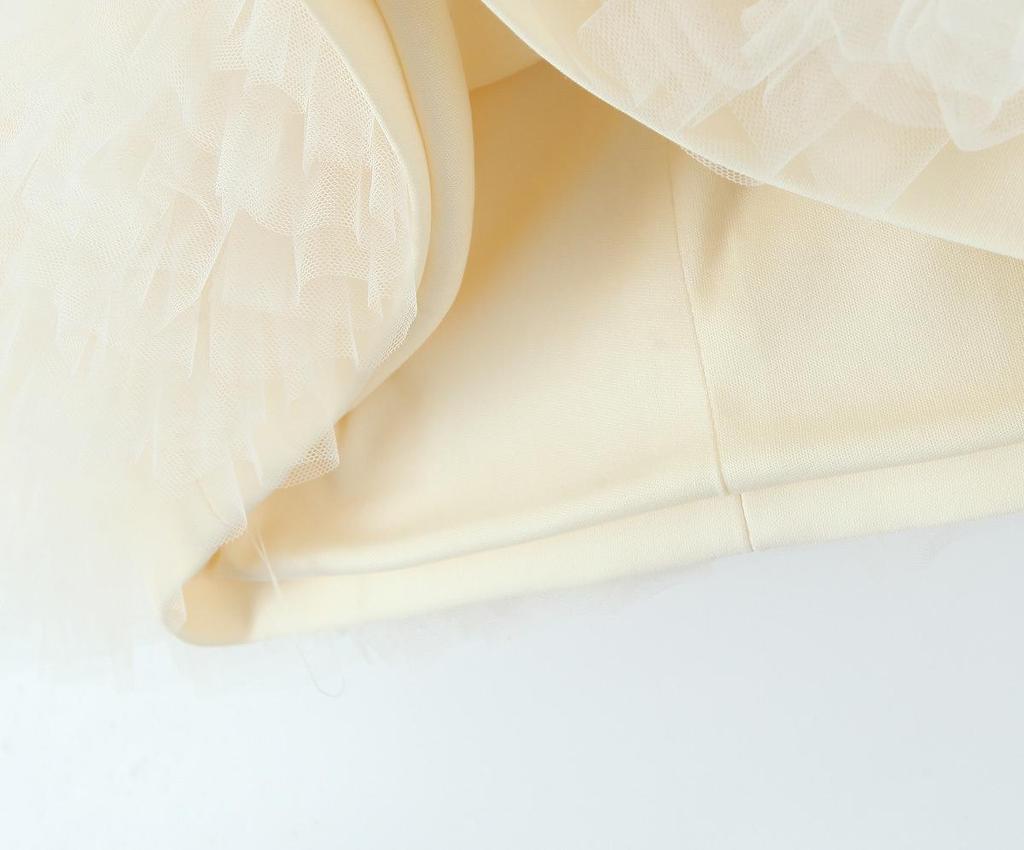 2025 Spring Women's European-American Puff Hem Silk Net Mini Dress