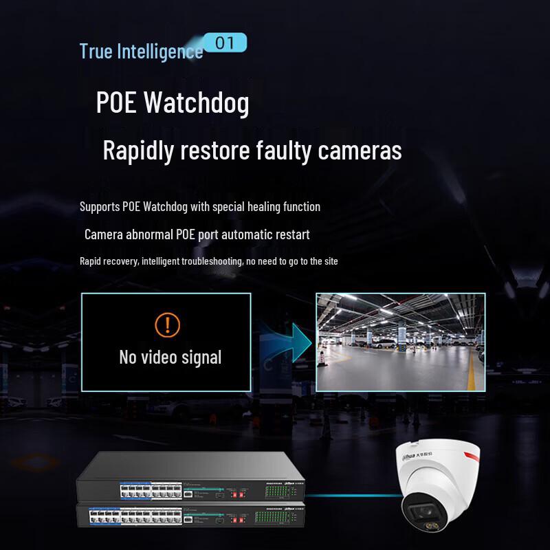 Dahua 16-Port Gigabit PoE-Switch CN-Stecker (Adapter enthalten)