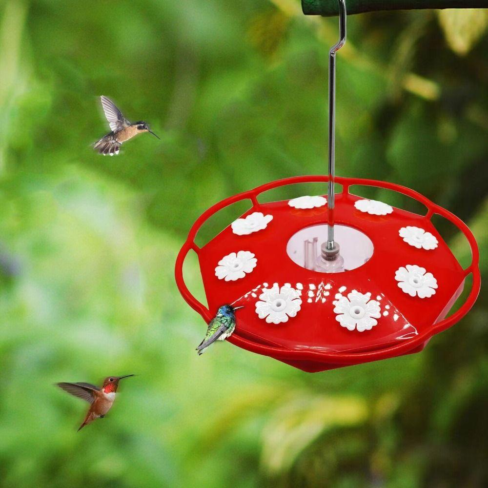 

Metal Bird Feeder Plastic Hummingbird Drinker Bird Automatic Feeder Hummingbird Feeder Outdoor