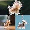 Hair Grooming Dog Hair Storage Box Transparent Puppy Pendants Cartoon Pet Hair Keychain  Backpack