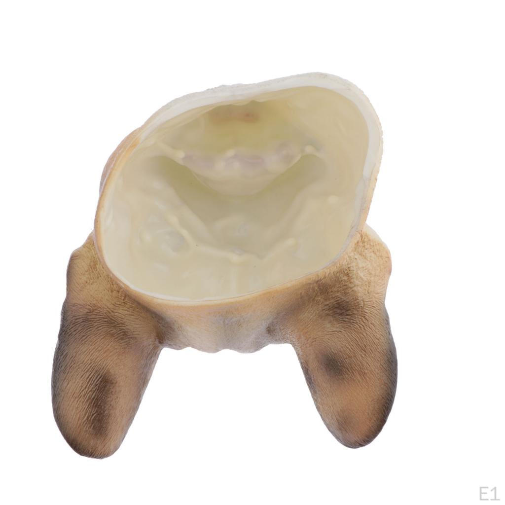 Hayvanat Bahçesi Hayvan El Kuklası Oyuncakları, Çocuklar için Dino Kuklaları Rolü, Küçük Çocuklar,