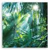 Canvas Print Tropical Forest Nature