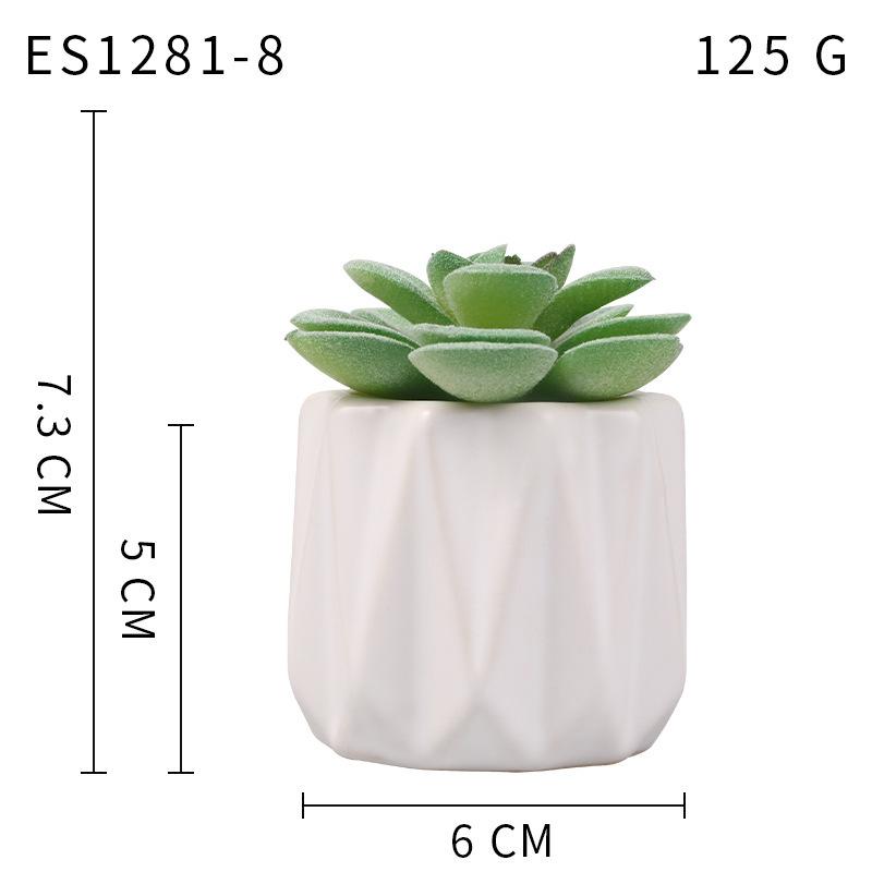 Small, Wavy Cup-Shaped Simulated Succulent Plant Potted Plant, Nordic Office Furniture Fresh Decoration