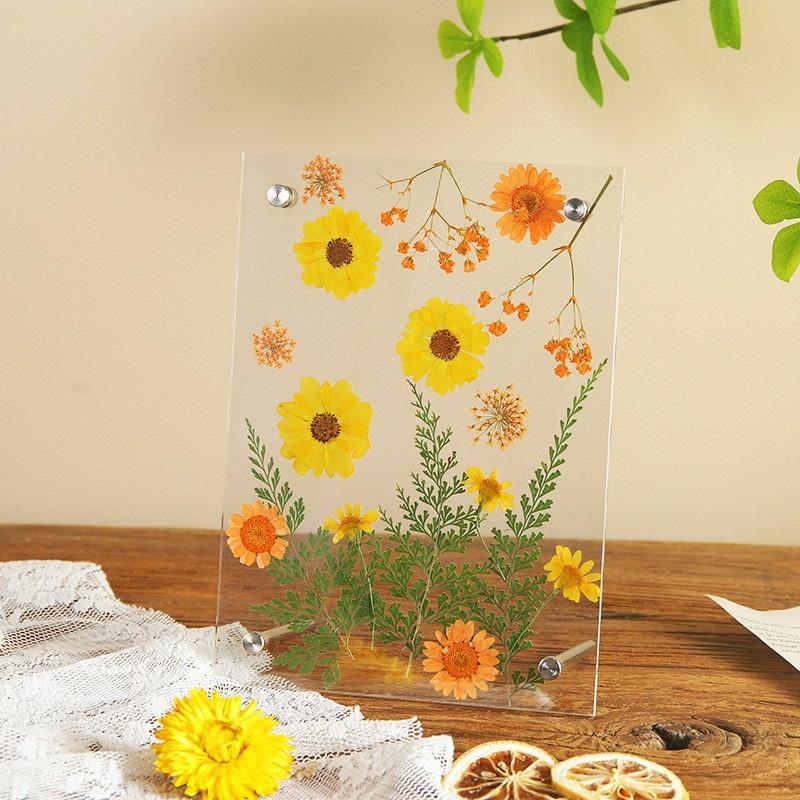 6 Inch Clear Acrylic Pressed Flower Frame Floral Keepsake Frame -Minimalist Tabletop Po Display For Home & Office Desk Decor