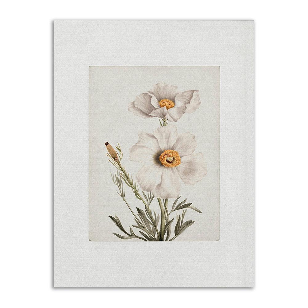 

Винтажный холст, постер и принты, Ретро ботанический тропический цветок, фермерский дом, настенное художественное украшение, домашний декор для гостиной 21x30cm No Frame