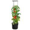 Jardinière à tomate - Maison Exclusive - Anthracite - Ø39 x 150 cm - Polypropylène