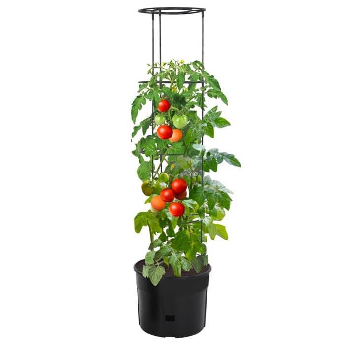 Jardinière à tomate - Maison Exclusive - Anthracite - Ø39 x 150 cm - Polypropylène