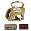 Adjustable Tactical Cat Harness with Anti-Breakaway Leash for Outdoor Use