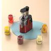 ZISIZ Masticating Juicer