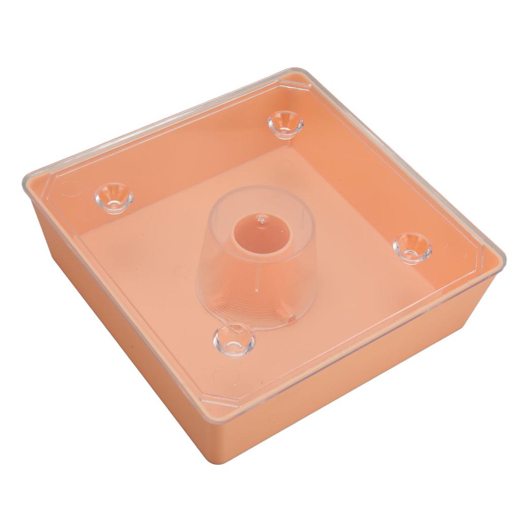 Acryl Kolibri Feeder Outdoor Beehive Top Feeder Platz Imkerei Wasser Feeder