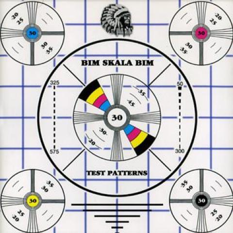 

CD BIM SKALA BIM - Test Patterns BIB20422 BIB 1999 US Reggae, Ska & Dub Used