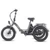 Electric Cargo Bicycle Fafrees 20" F20 Mate 250W Motor Foldable E-Bike Top Speed 25km/h LCD Display 48V 20Ah Dual Hydraulic Brake Max Load 180Kg