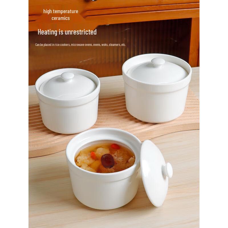 HANDUNYOU Ceramic Double Boiler Stew Pot