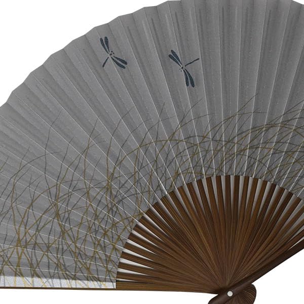 Folding Kyoto made in with a dragonfly design on a pearlescent fan, style, Japan, background.