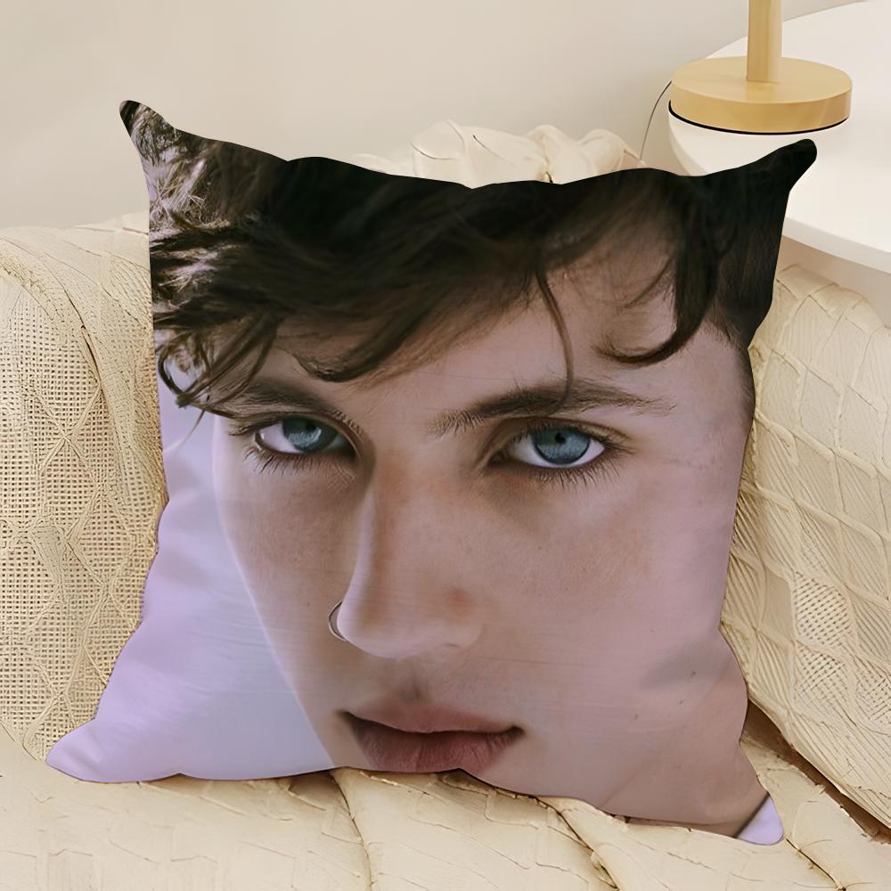 Singer TTroye SSivan Pillow Case Natural Linen DoubleSided Printing Sofa Home Decor Cushion Cover