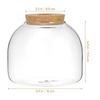 Kurk Glazen Fles Plant Terrarium Grote Landschaps Bloempotten Ecosysteem Kleine Container Beugel Koekjespot Kantoor