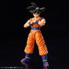 BANDAI SPIRITS Standard Dragon Ball Son Goku SPEC Plastic Model Kit Figure-rise (NEW Ver.) Pre-colored