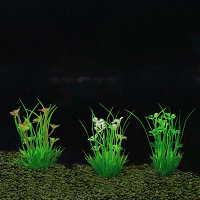 Fische & Meerestiere – Aquarien-Einrichtung