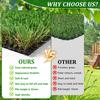 2M*3M Outdoor Artificial Grass Runner Rug, Thick Realistic Fake Grass Roll Decor Patio Balcony Garden Lawn, Dog Pets Turf Drain Mat, 1.38" Pile Height