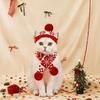 Green Red Pet Dress Up Set Adjustable Pet Knitted Suit  Xmas Pet Costume