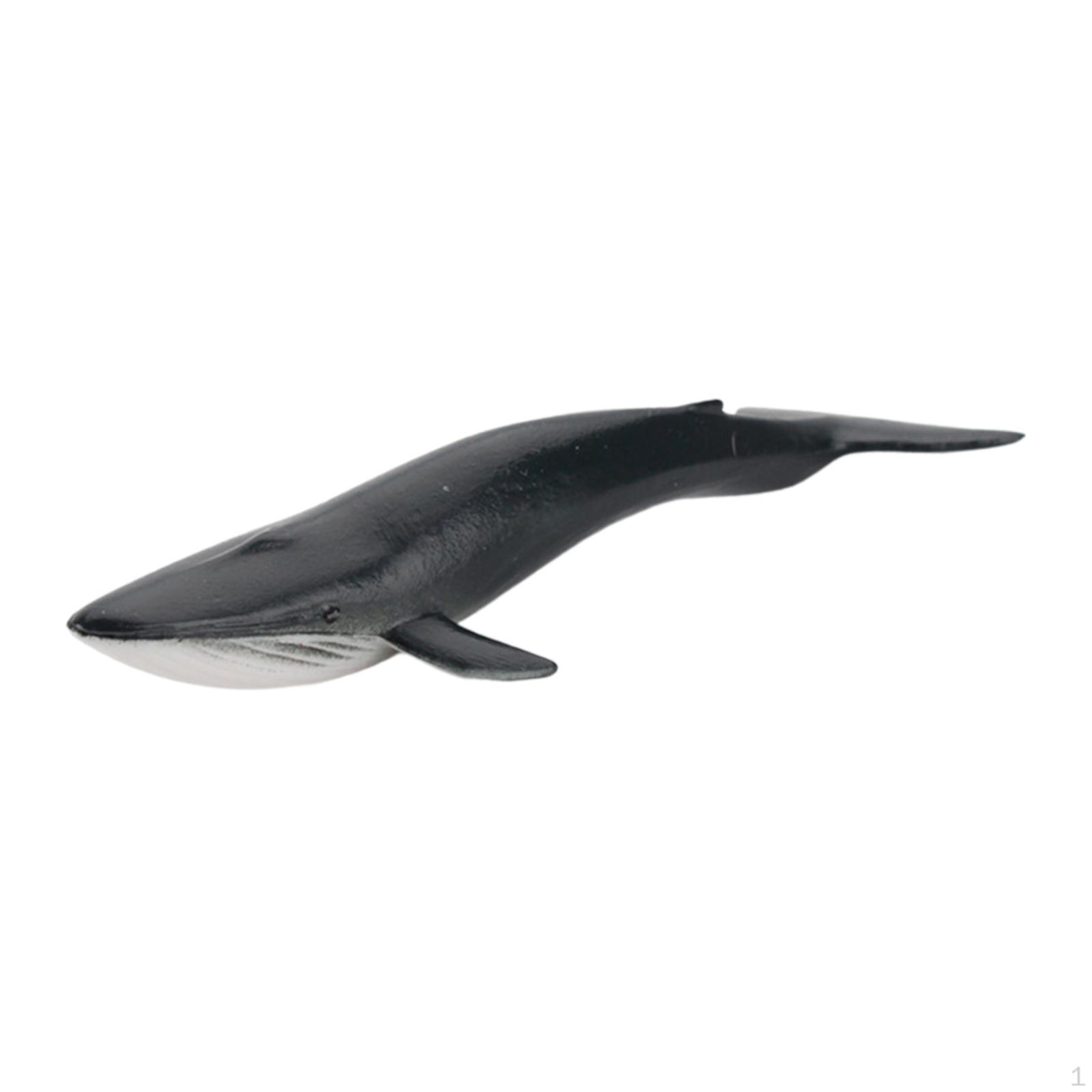 Animal Figurine Realistic Model for Home Decoration And Play Blue Whale