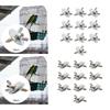 10Pcs Bird Perches Fitting Screws Nut Kits M5*30 for Rack Exercise Platform