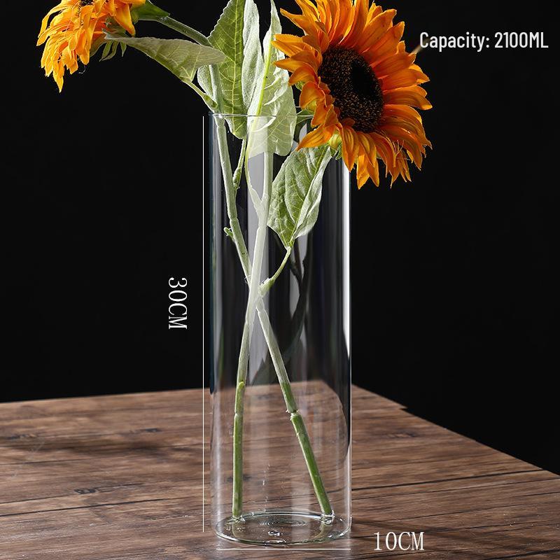 High Borosilicate Glass Hydroponic Vase & Desktop Planter - Straight Tube Design for Artistic Arrangements and Moss Ecosystem