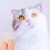 Dog Toothbrush Mini Head Pet Toothbrush Soft Hair Toothbrushes for Dog Teeth Cleaning Rabbit Small Pet Toothbrushes Mouth Clean