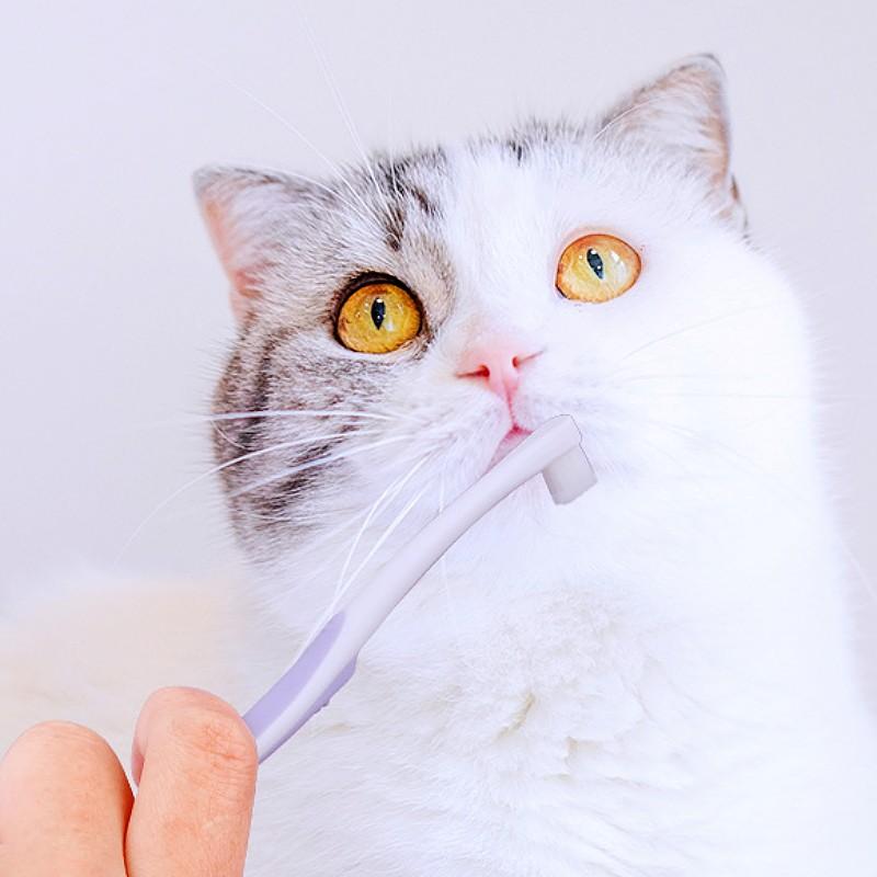Dog Toothbrush Mini Head Pet Toothbrush Soft Hair Toothbrushes for Dog Teeth Cleaning Rabbit Small Pet Toothbrushes Mouth Clean