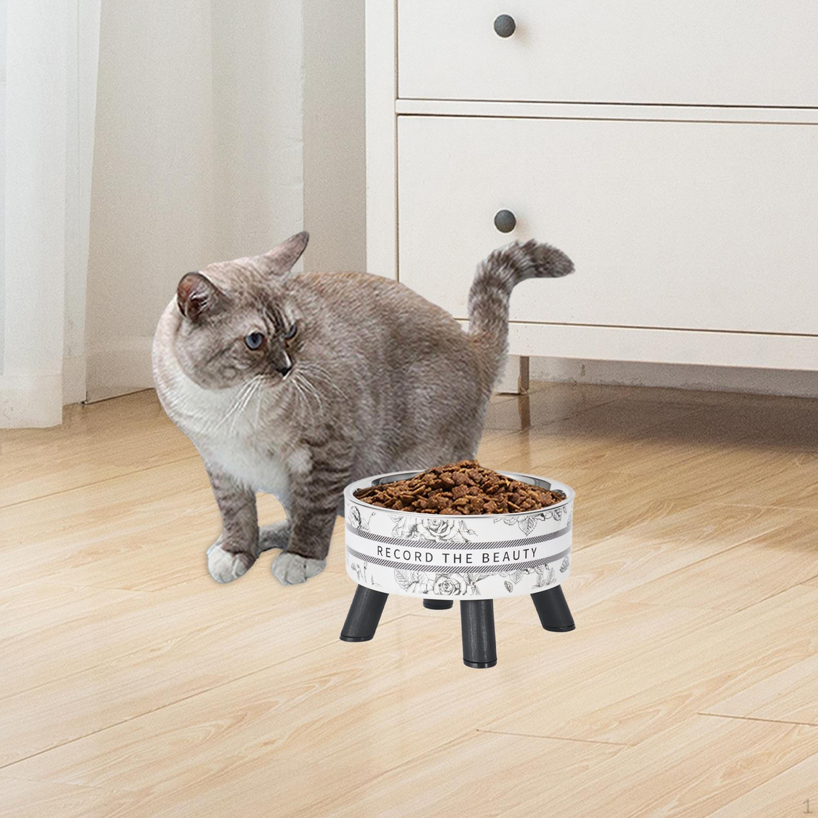 

Миска для кошек. Защита шеи и воды предотвращает разливы. Контейнер для посуды. белый