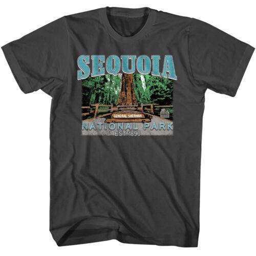 Sequoia General Sherman Men s T-Shirt California Redwoods National Park - Men s Summer Cotton Graphic Tee S разноцветный