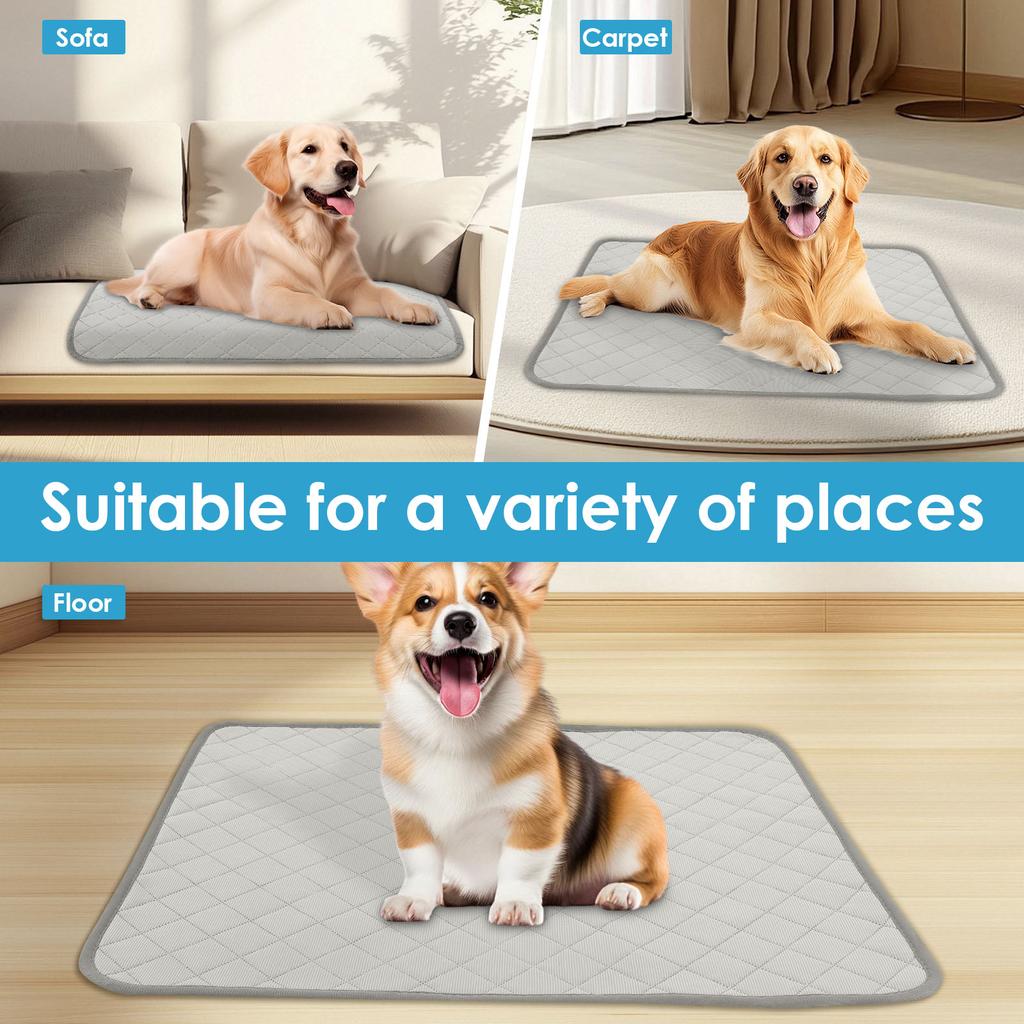 2Pcs Dog Pee Pad Water Absorbent Reusable Pet Training Pad Washable Puppy Bed Floor Mat Diaper Mat Four Seasons Pet Supplies
