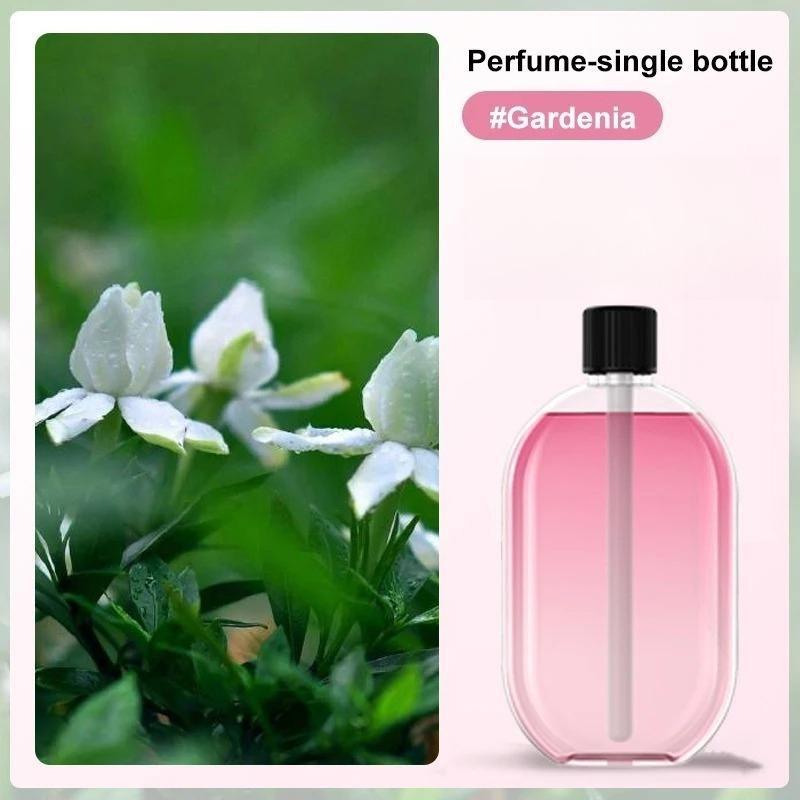 Automatic Fragrance Machine Perfume Scent Machine Essential Oil Diffuser Nebulizer for Kitchen and Toilet Home Deodorization